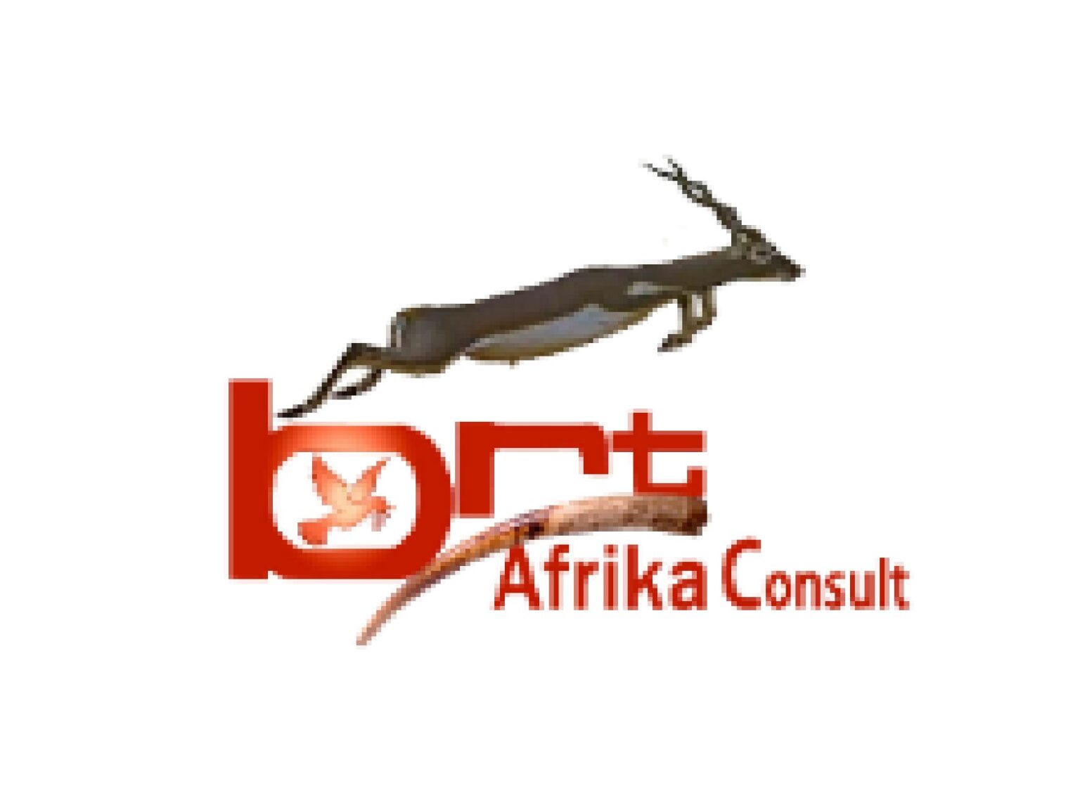 LOGO BRT AFRIKA CONSULT 1536x1125